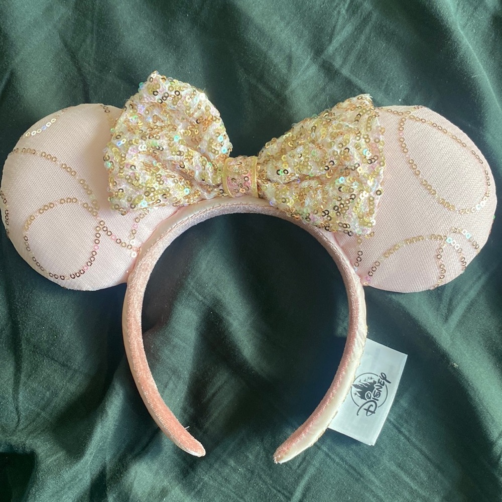 Best day ever tangled Disney ears
